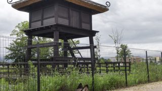 【中古】 子宮の中の子守歌/青峰社/梁石日 子宮の中の子守歌 / 梁 石日 / 青峰社 【送料無料】【中古